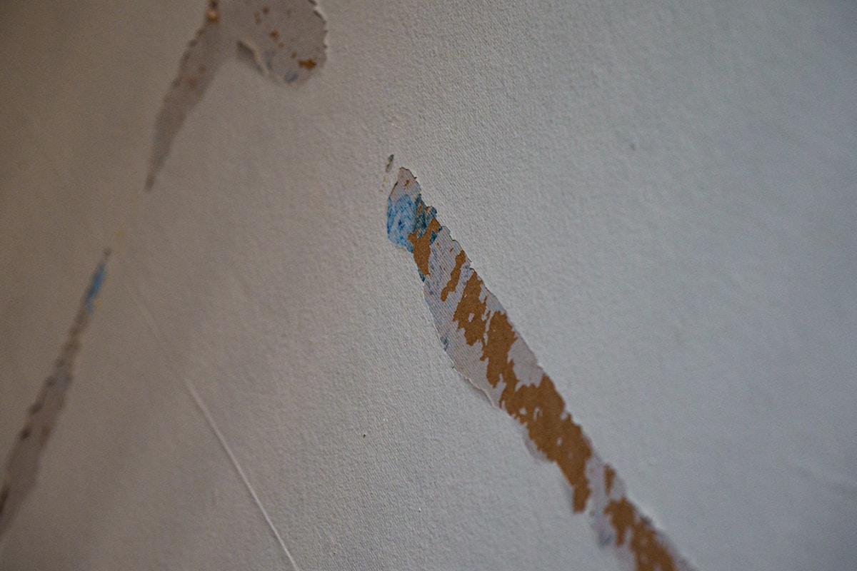 Sewage Cleanup service in Elkhart, IN